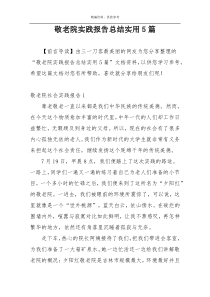 敬老院实践报告总结实用5篇