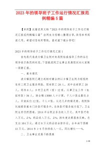 2023年的领导班子工作运行情况汇报范例精编5篇