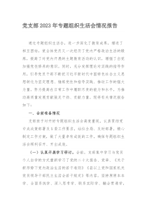 党支部2023年专题组织生活会情况报告