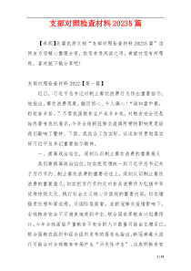 支部对照检查材料20235篇