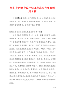 组织生活会会议小结及表态发言集聚通用4篇