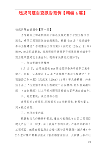 违规问题自查报告范例【精编4篇】