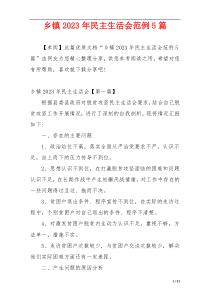 乡镇2023年民主生活会范例5篇