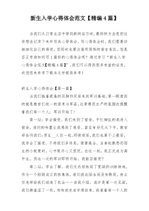 新生入学心得体会范文【精编4篇】