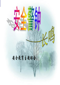 安全教育主题班会.ppt