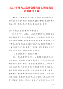 2023年度民主生活会整改落实情况报告范例通用3篇