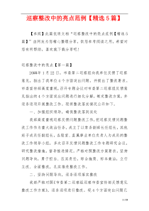 巡察整改中的亮点范例【精选5篇】