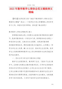 2023年数学教学心得体会范文精致例文精编