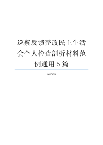 巡察反馈整改民主生活会个人检查剖析材料范例通用5篇
