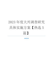 2023年度大兴调查研究具体实施方案【热选5篇】