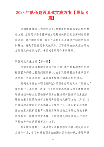 2023年队伍建设具体实施方案【最新8篇】