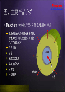 电伴热-瑞侃raychem