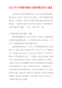 2023年小学新学期计划条件【实用5篇】