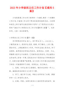 2023年小学级班主任工作计划【通用5篇】
