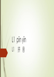 初级汉语-拼音