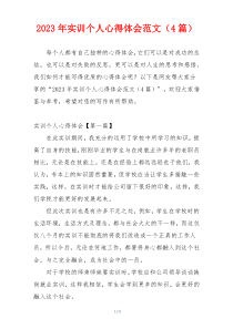 2023年实训个人心得体会范文（4篇）