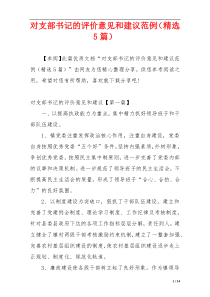对支部书记的评价意见和建议范例（精选5篇）