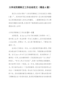 大学试用期转正工作总结范文（精选4篇）