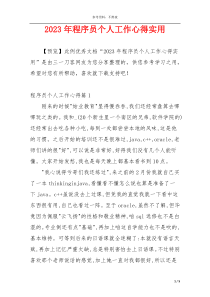 2023年程序员个人工作心得实用
