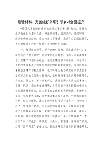 经验材料：完善组织体系引领乡村全面振兴