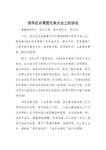 领导在共青团代表大会上的讲话
