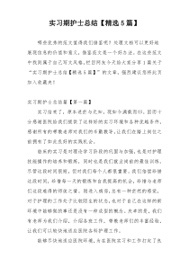 实习期护士总结【精选5篇】