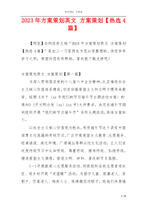 2023年方案策划英文 方案策划【热选4篇】