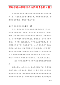 青年干部挂职锻炼总结范例【最新4篇】