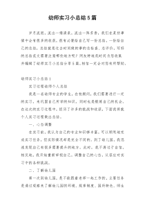 幼师实习小总结5篇