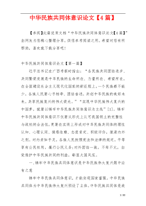 中华民族共同体意识论文【4篇】