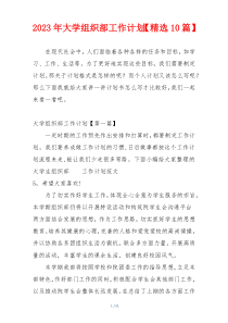 2023年大学组织部工作计划【精选10篇】