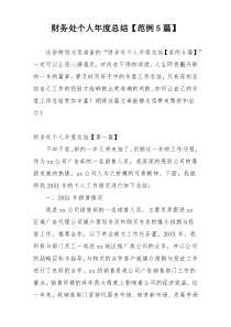 财务处个人年度总结【范例5篇】