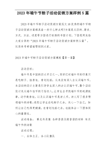2023年端午节粽子活动促销方案样例5篇