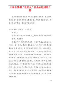 大学生暑期“返家乡”社会实践通用3篇