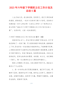 2023年六年级下学期班主任工作计划及总结5篇