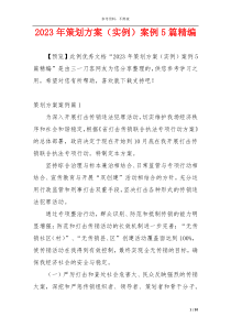 2023年策划方案（实例）案例5篇精编