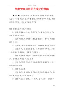 销售管理总监的自我评价精编