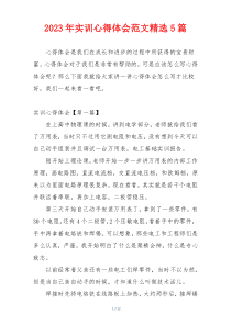 2023年实训心得体会范文精选5篇