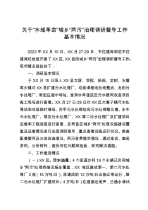关于“水域革命”城乡“两污”治理调研督导工作基本情况