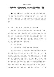 组织部下基层活动方案(案例)最新5篇