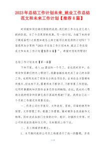 2023年总结工作计划未来_就业工作总结范文和未来工作计划【推荐8篇】