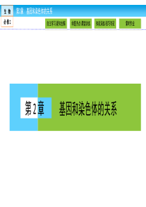 高中生物必修二重难点突破一