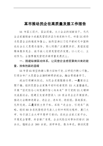 某市推动民企在高质量发展工作报告