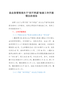 县应急管理局关于“四不两直”检查工作开展情况的报告