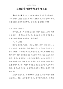 文员的实习报告范文实用3篇