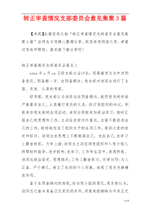 转正审查情况支部委员会意见集聚3篇