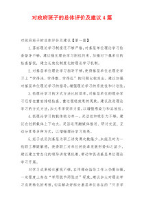 对政府班子的总体评价及建议4篇