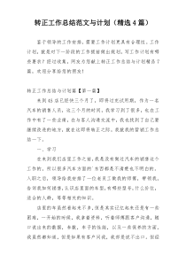 转正工作总结范文与计划（精选4篇）