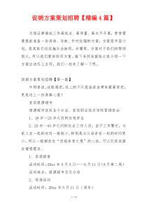 促销方案策划招聘【精编4篇】