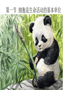 (新教材)第一节细胞是生命活动的基本单位